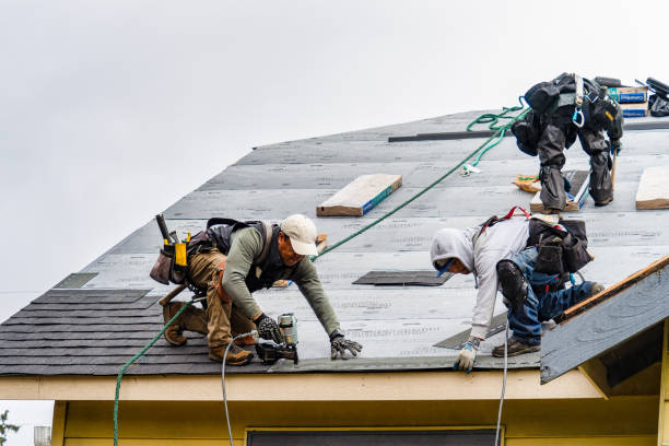 Professional Roofing technician working in Stout, IA
